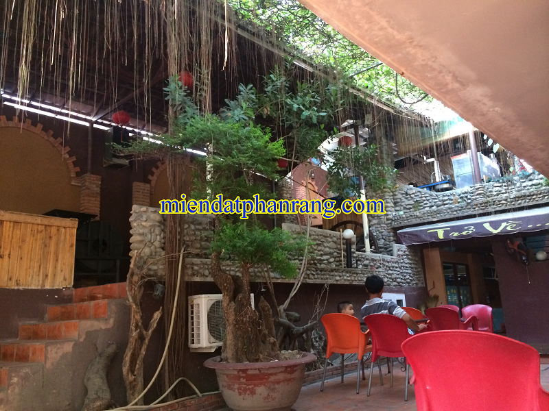 cafe trở về phan rang 